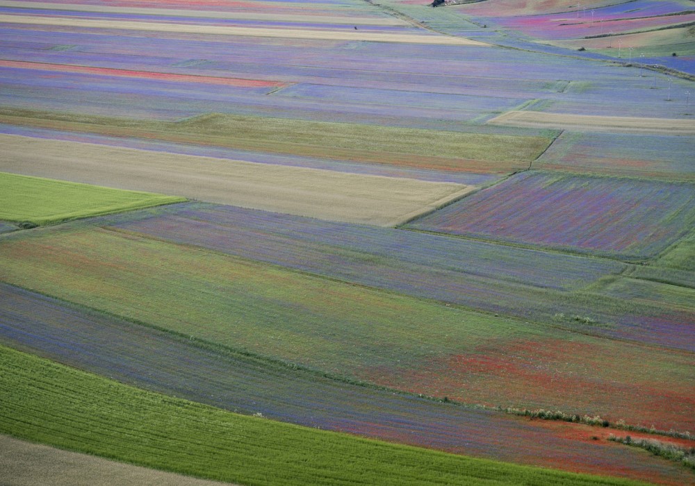 piana di castelluccio