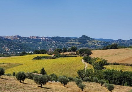 SANTA MARIA LOCATION