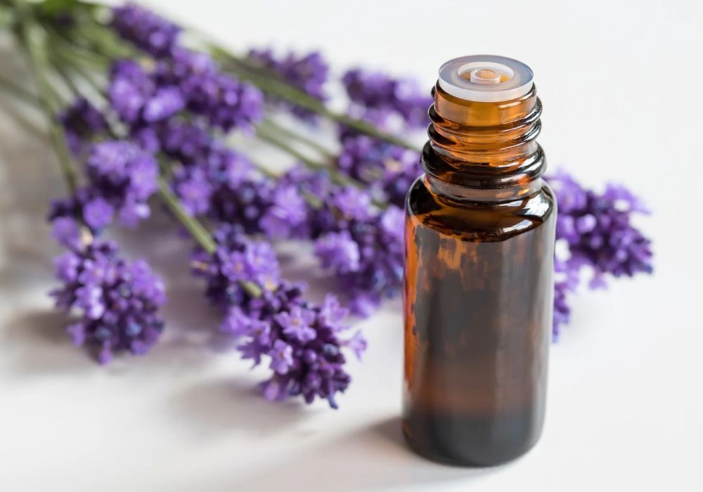 olio essenziale lavanda